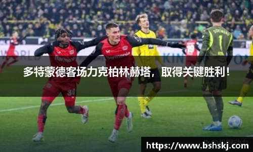 RAYBET雷竞技