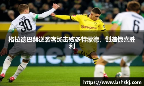 雷竞技raybet官网