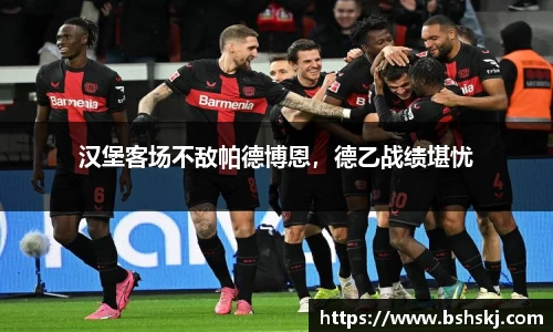 雷竞技raybet