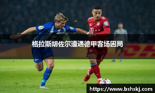 雷竞技raybet