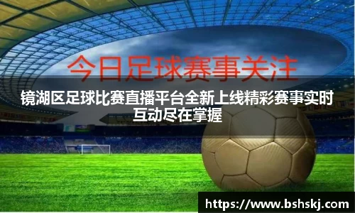 雷竞技raybet
